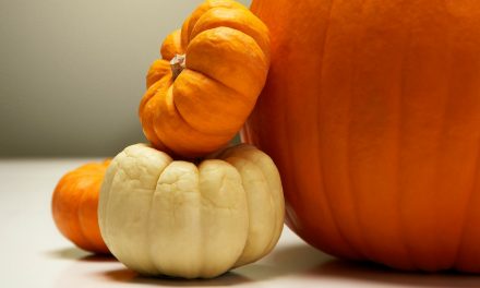 30 Pumpkin Recipes for Fall